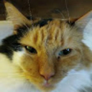 Meet your Posher, Rumpledtitskin